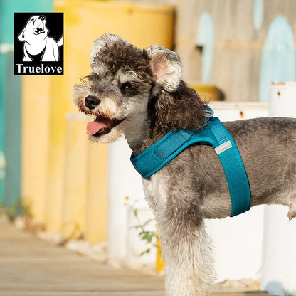 Harnais Petit Chien Motif Respirant