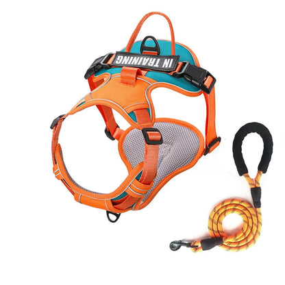 Harnais Chien Actif Respirant