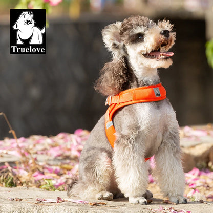 Harnais Petit Chien Motif Respirant