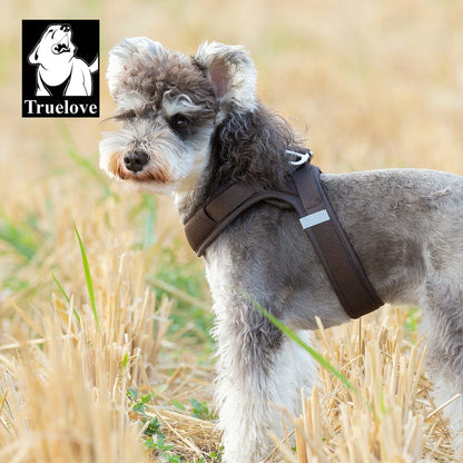 Harnais Petit Chien Motif Respirant