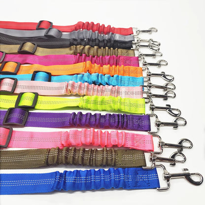 Ceinture Chien Voiture Élastique