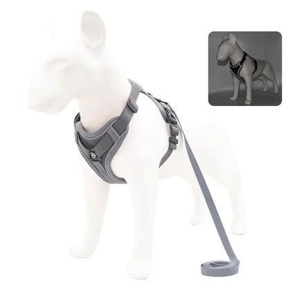 Harnais Chiot Léger Ajustable