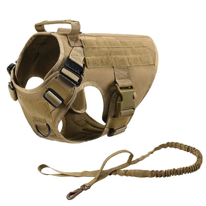 Harnais Tactique Chien Molle