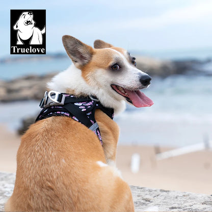 Harnais Petit Chien Motif Respirant