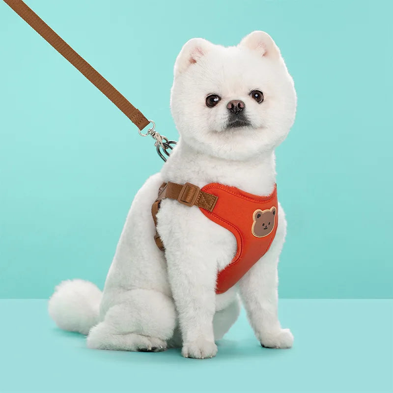 Harnais Chiot Respirant Réglable