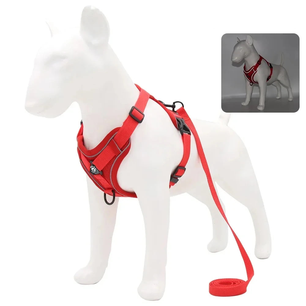 Harnais Chiot Léger Ajustable