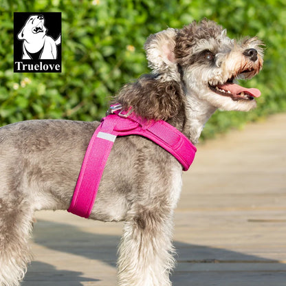 Harnais Petit Chien Motif Respirant