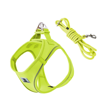 Harnais Chiot Respirant Multicolore