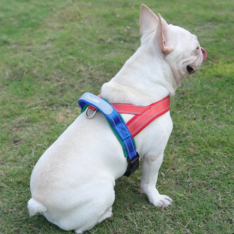 Harnais Petit Chien Selle Ajustable