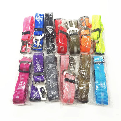 Ceinture Chien Voiture Élastique