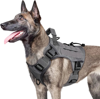 Harnais Tactique Chien Réfléchissant