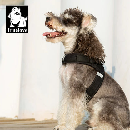 Harnais Petit Chien Motif Respirant