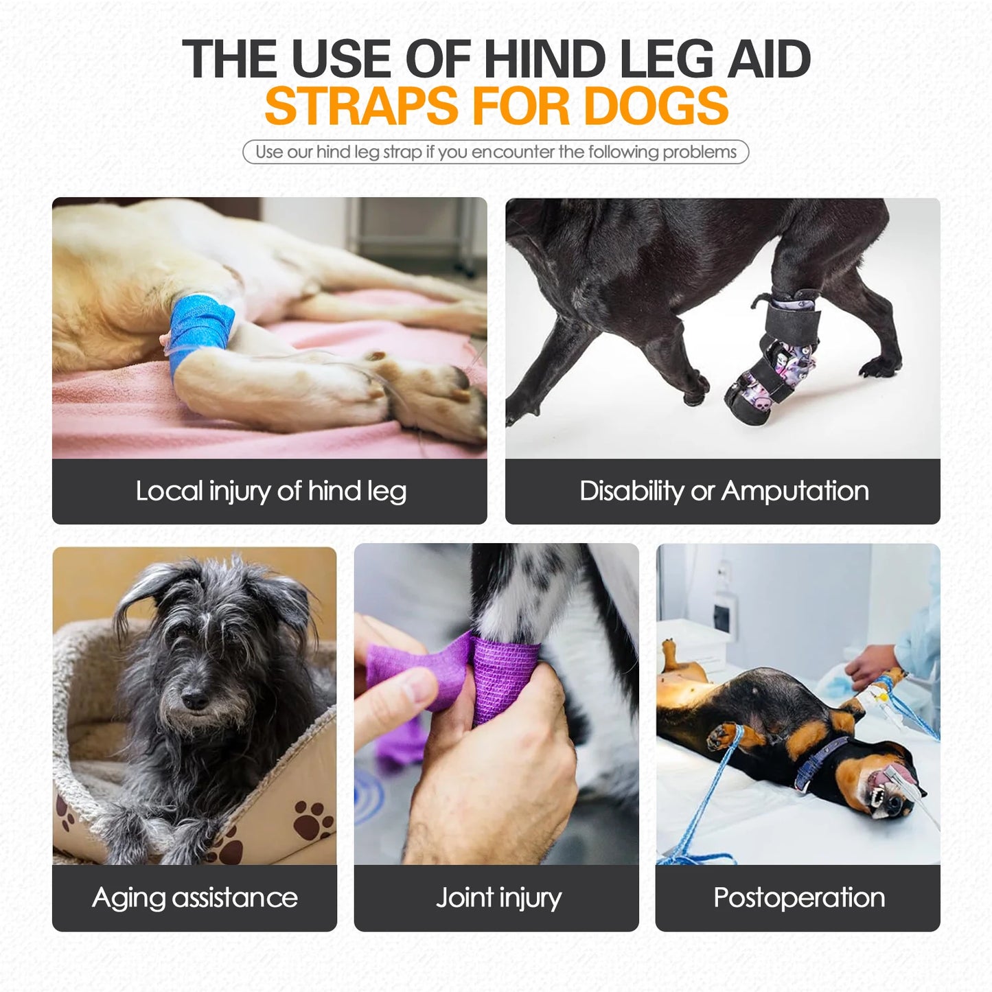 Sangle Chien Handicapé Noire