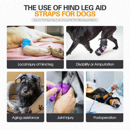 Sangle Chien Handicapé Noire