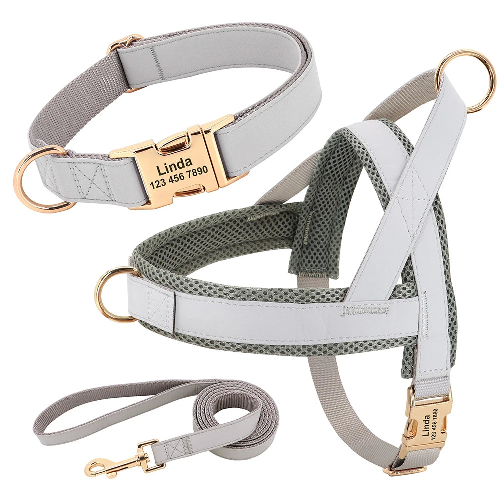 Harnais Petit Chien Set Ajustable