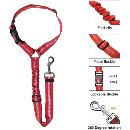 Ceinture Chien Voiture 2 en 1