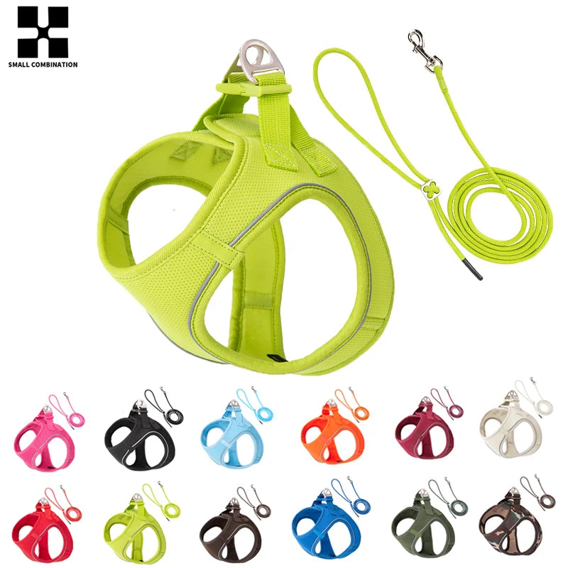 Harnais Chiot Respirant Multicolore