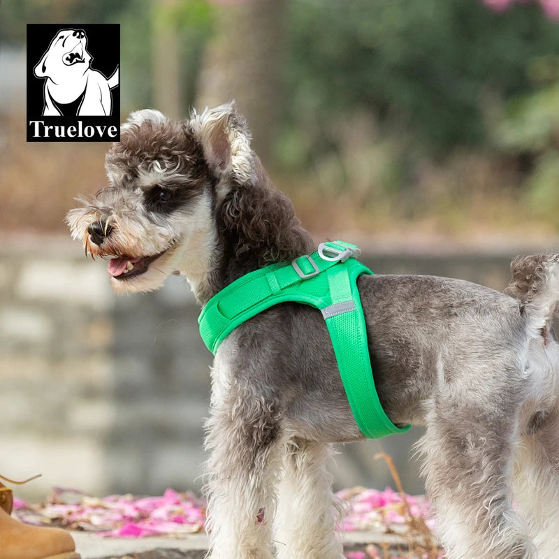 Harnais Petit Chien Motif Respirant