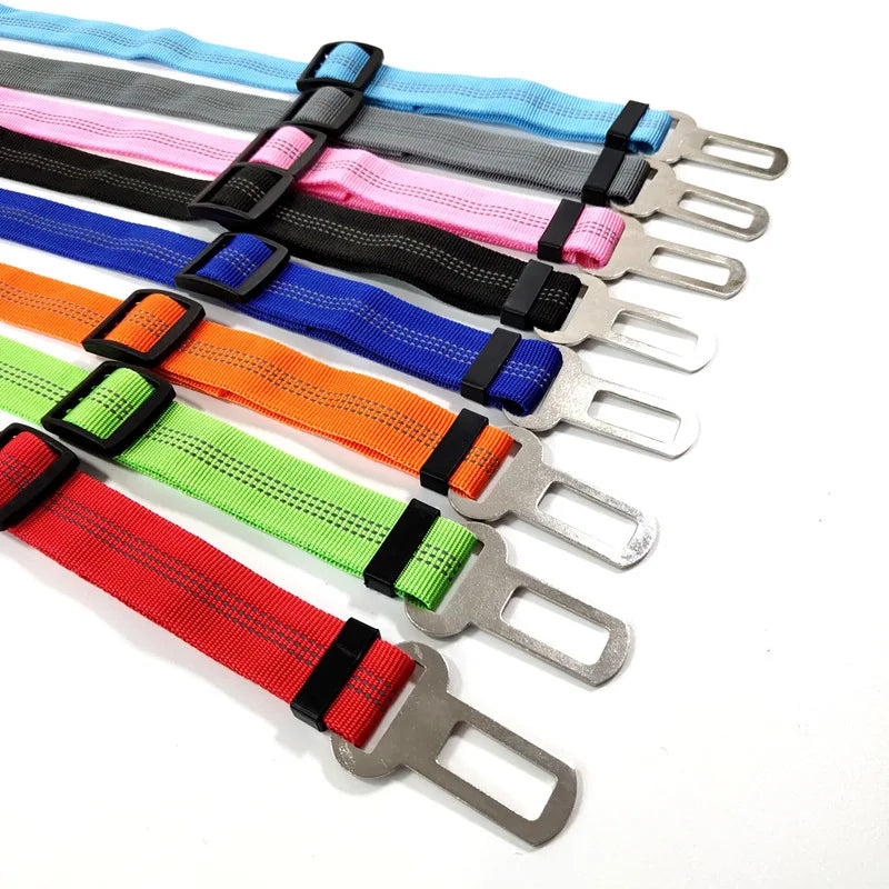 Ceinture Chien Voiture Élastique