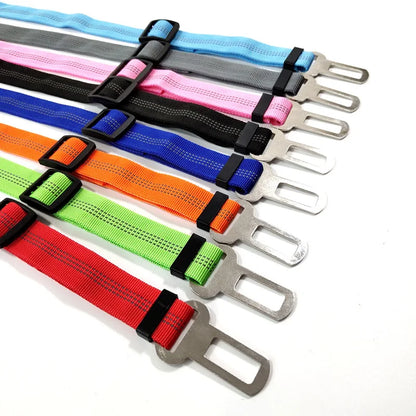 Ceinture Chien Voiture Élastique