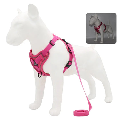 Harnais Chiot Doux Coloré