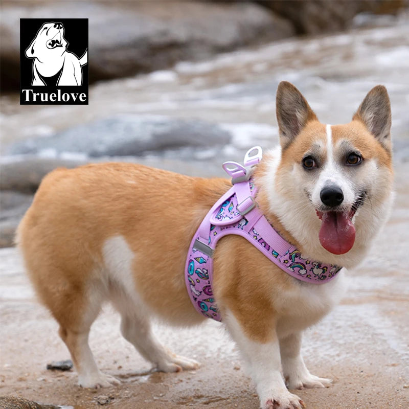 Harnais Petit Chien Motif Respirant
