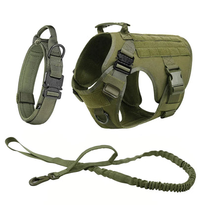 Harnais Tactique Chien Molle