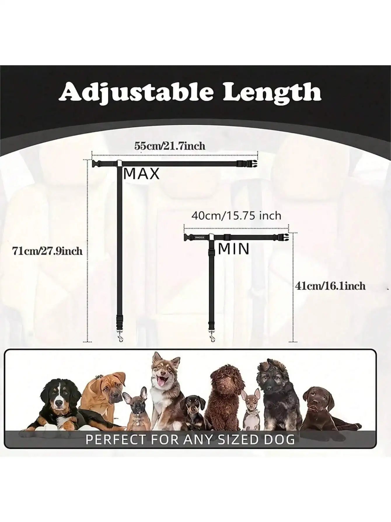 Attache Chien Voiture Appuie-Tête