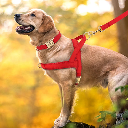 Harnais Petit Chien Set Ajustable