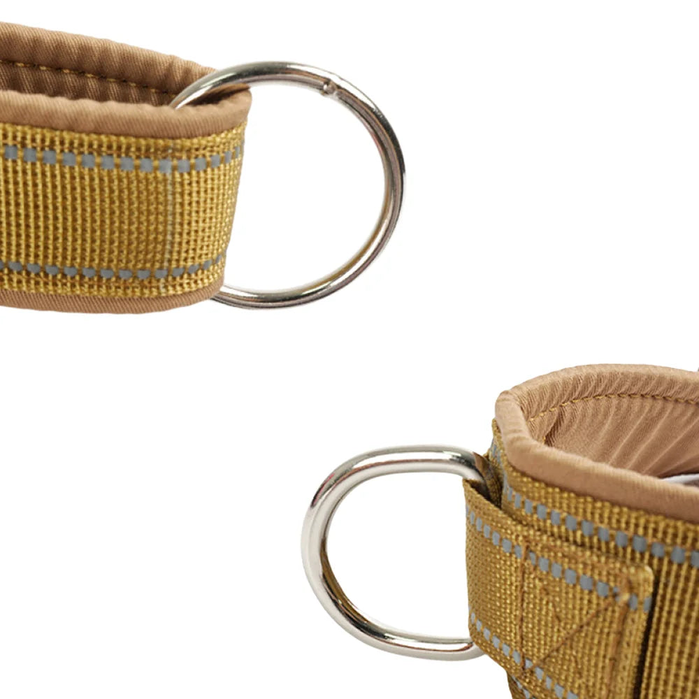 Harnais Chien Anti Traction Renforcé