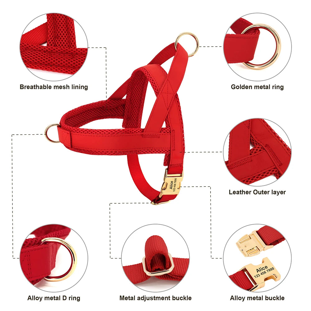 Harnais Petit Chien Set Ajustable