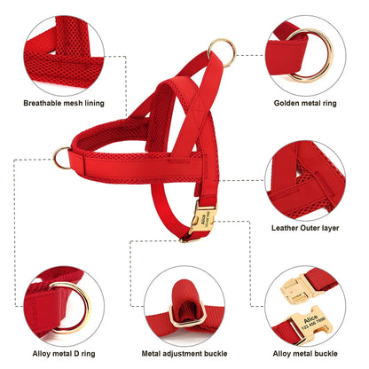 Harnais Petit Chien Set Ajustable
