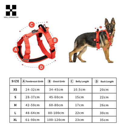 Harnais Chien Actif Réfléchissant