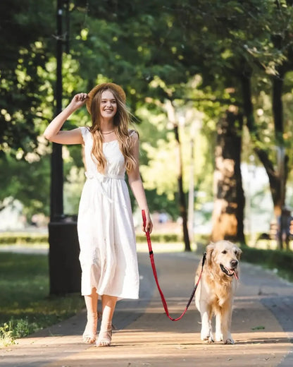 Laisse Tactique Amortissante à Double Poignée – vue 6