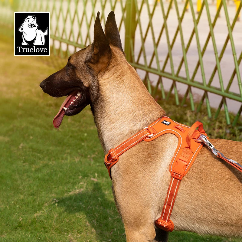 Harnais Chien Anti Traction Ergonomique