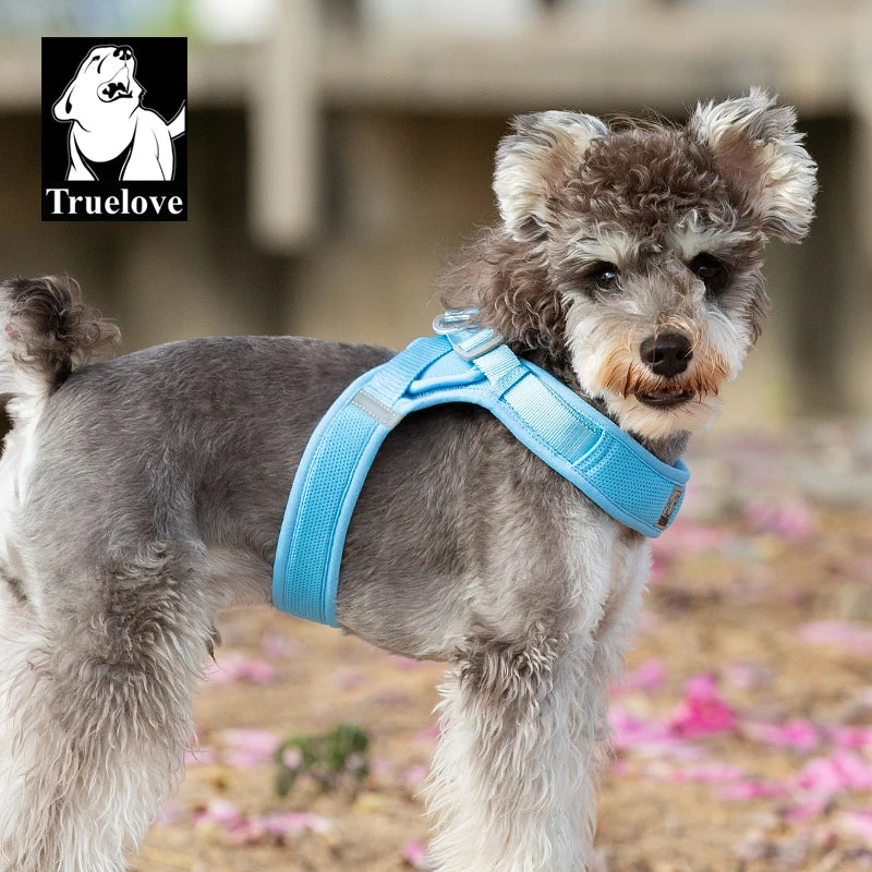 Harnais Petit Chien Motif Respirant