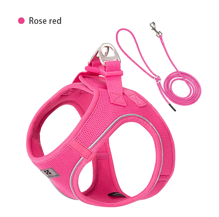 Harnais Chiot Respirant Multicolore