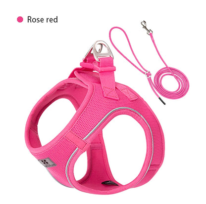 Harnais Chiot Respirant Multicolore