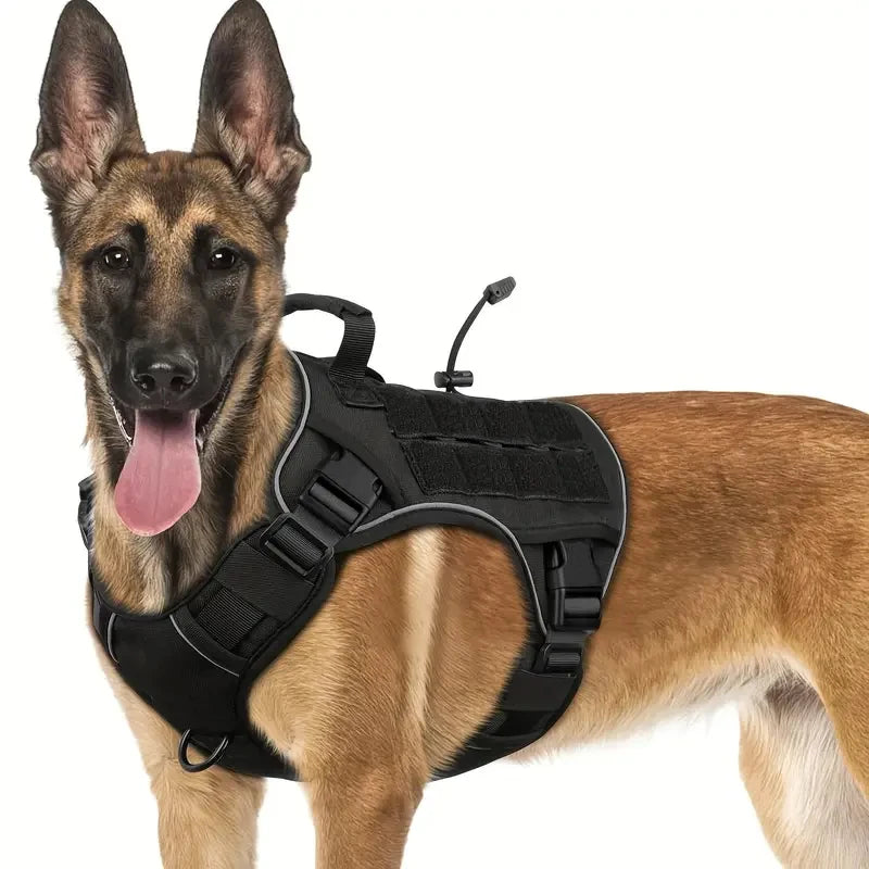 Harnais Tactique Chien Réfléchissant