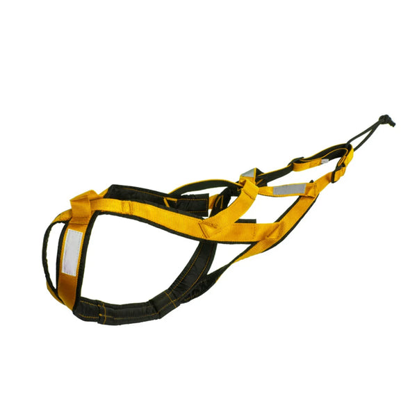 Harnais Canicross Jaune