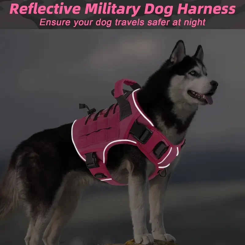 Harnais Tactique Chien Réfléchissant