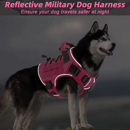 Harnais Tactique Chien Réfléchissant