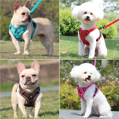 Harnais Chiot Doux Coloré