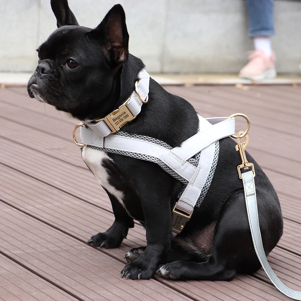 Harnais Petit Chien Set Ajustable