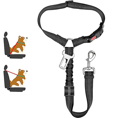 Ceinture Chien Voiture 2 en 1