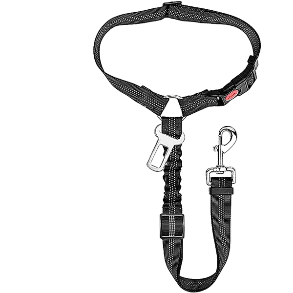 Ceinture Chien Voiture 2 en 1 – vue 9