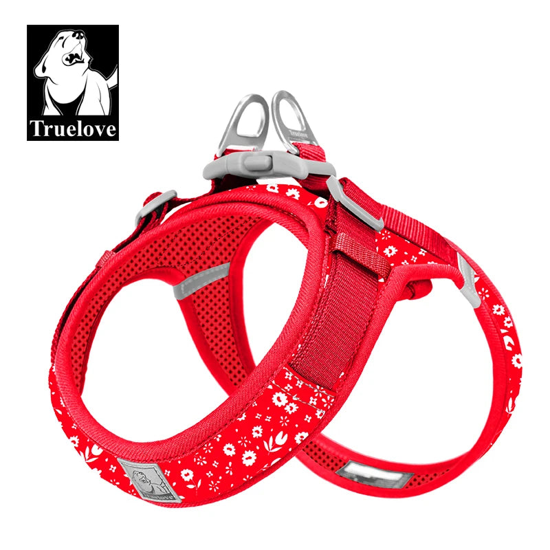 Harnais Petit Chien Motif Respirant