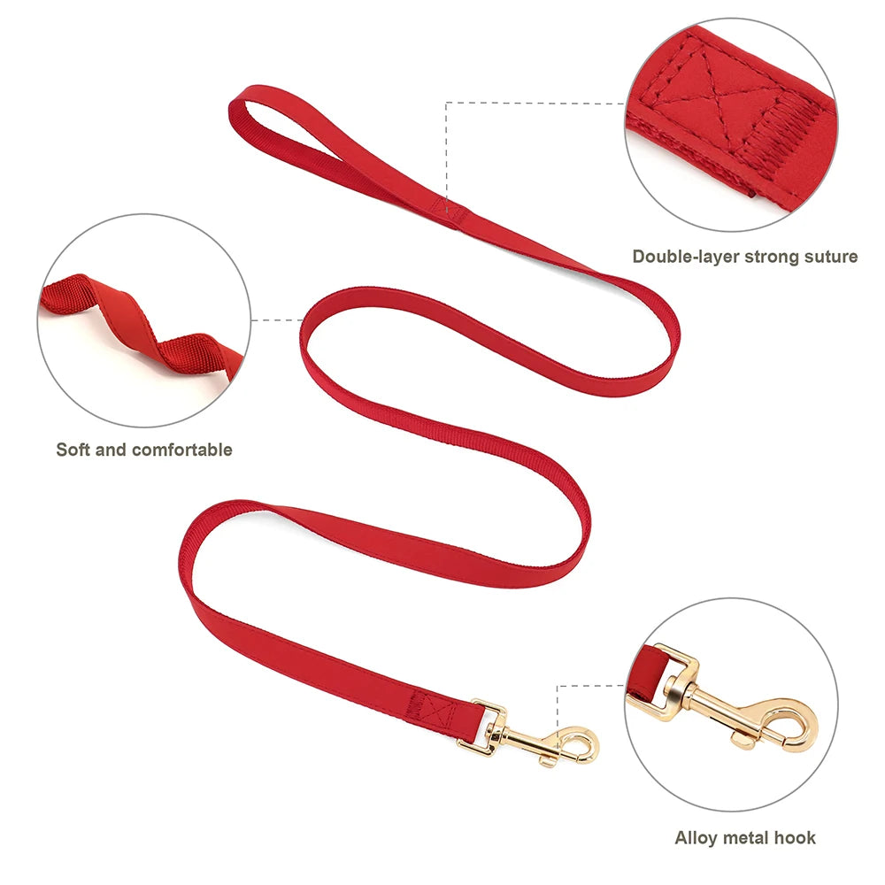 Harnais Petit Chien Set Ajustable
