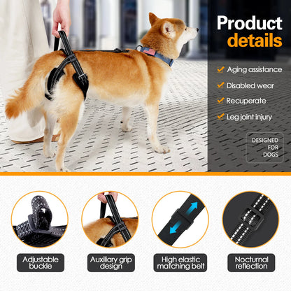 Sangle Chien Handicapé Noire