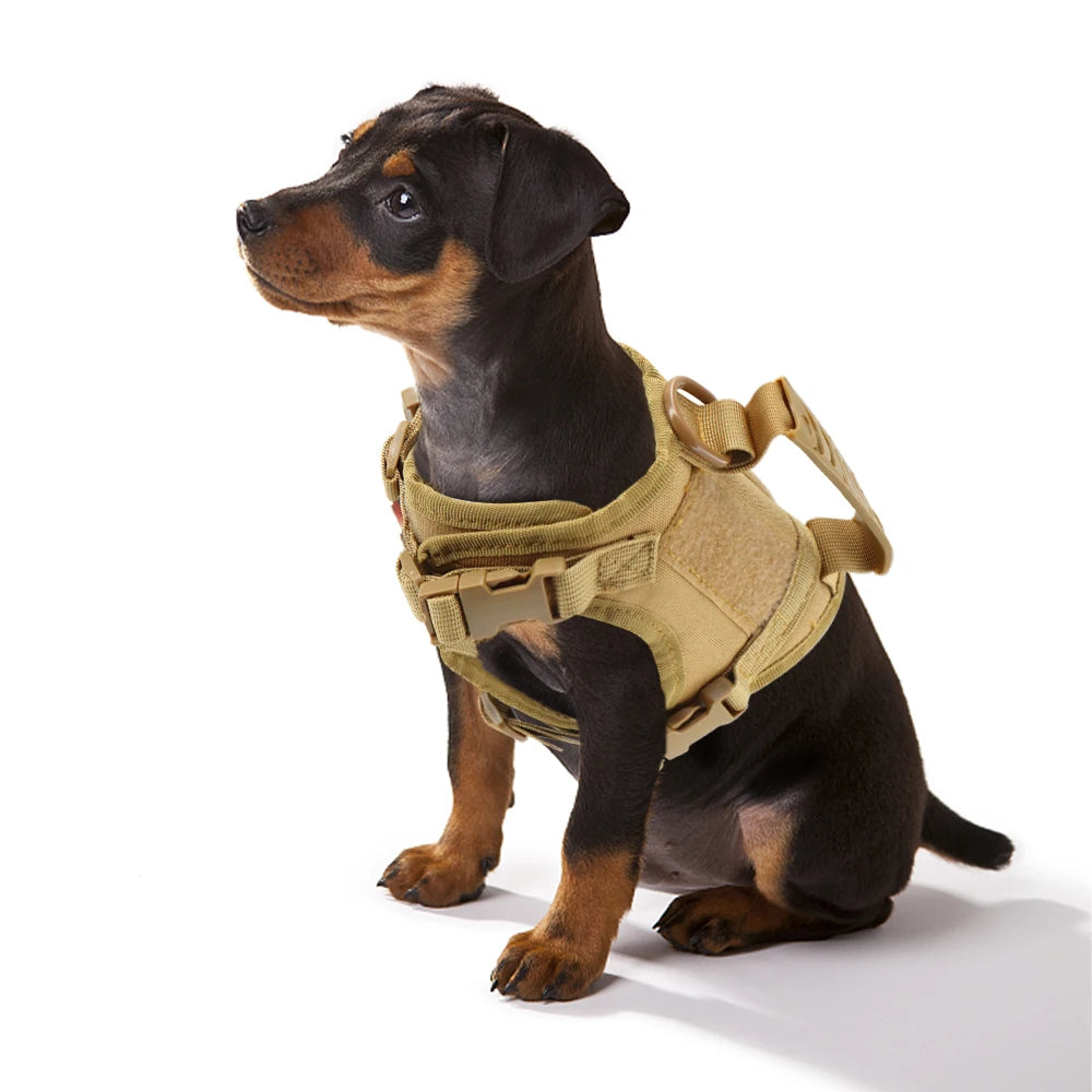 Harnais Petit Chien Tactique Léger